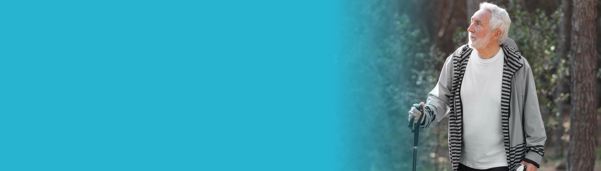 Promotion Independence banner